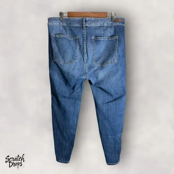 Pilcro by Anthropologie Women's Jeans Size 16W High Rise Skinny Fit Blue Denim - Picture 4 of 4